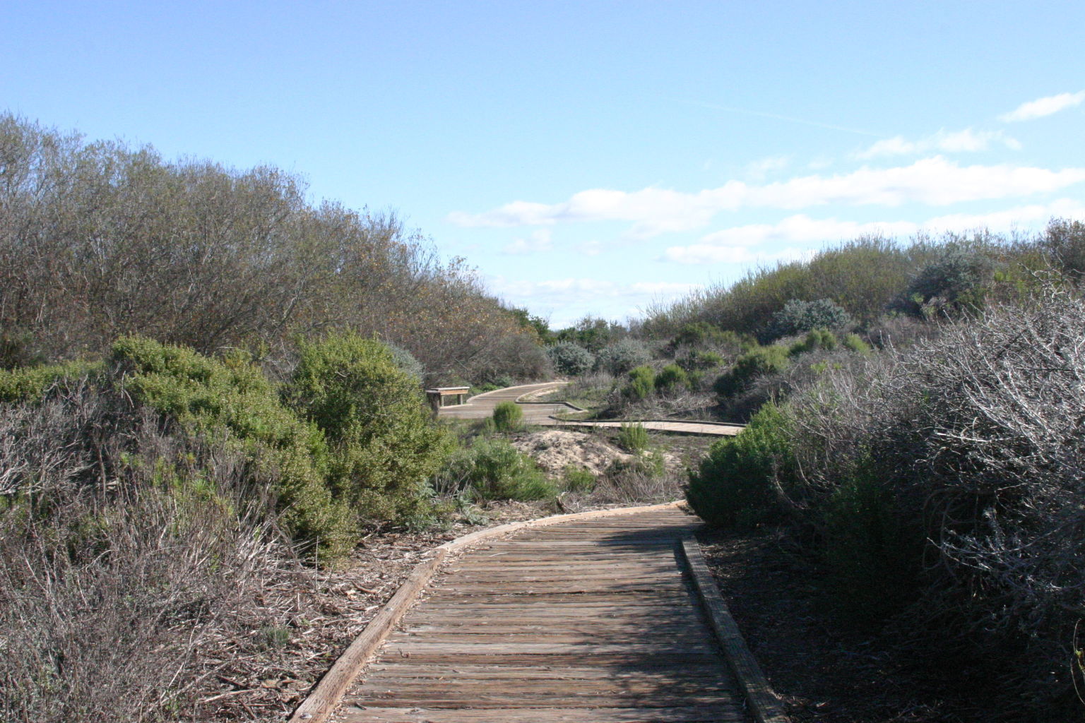 Oso Flaco Boardwalk